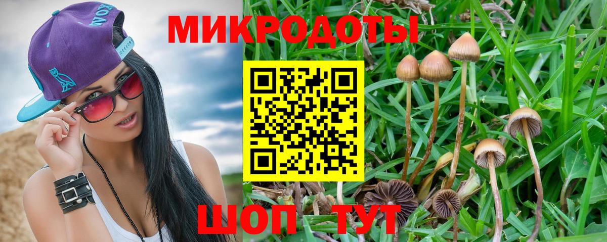 Псилоцибиновые грибы мицелий Когалым